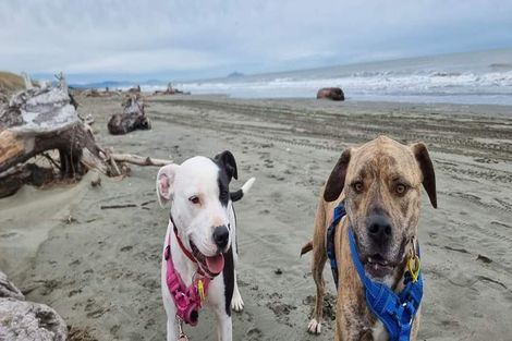 Photo of property in 1 High Street, Petone, Lower Hutt, 5012