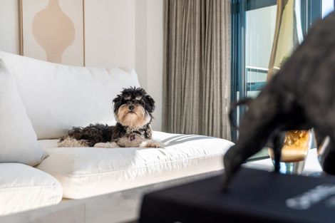 Photo of property in The Beaumonts, 2g/220 Victoria Street West, Freemans Bay, Auckland, 1011