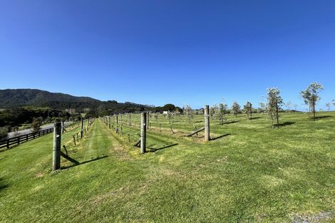 Photo of property in 367 King Road, Mangawhai, Kaiwaka, 0573