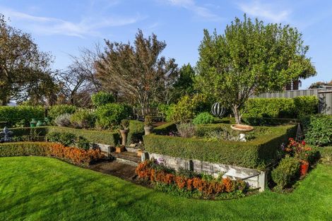 Photo of property in 58 Palmbrook Avenue, Havelock North, 4130