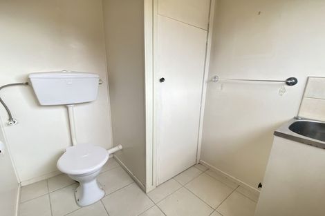 Photo of property in 3g Green Road, Panmure, Auckland, 1072