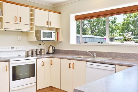 Photo of property in 14 Stopforth Street, Woodend, 7610