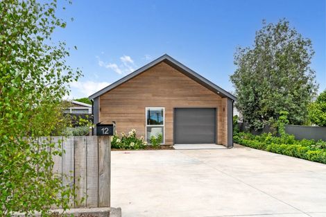 Photo of property in 12 Third Street, Lansdowne, Masterton, 5810