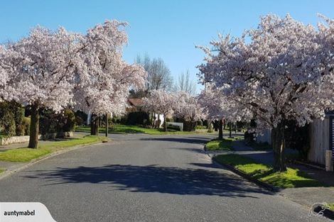 Photo of property in 5 Glassey Drive, Allenton, Ashburton, 7700