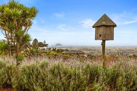 Photo of property in 4 Dawn View Place, Minden, Tauranga, 3176