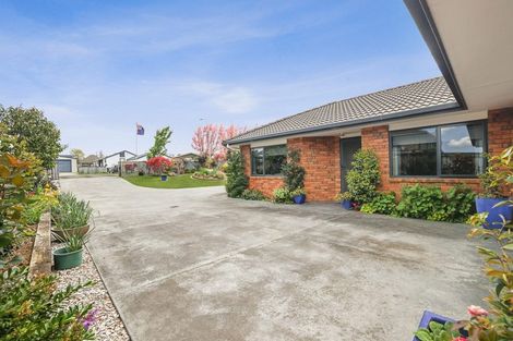 Photo of property in 229 Raeburne Street, Te Awamutu, 3800