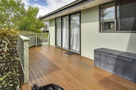 Photo of property in 21b Blair Terrace, Richmond, 7020