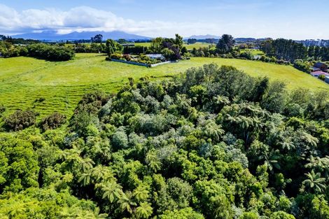 Photo of property in 203 Henwood Road, Westgate, 0814