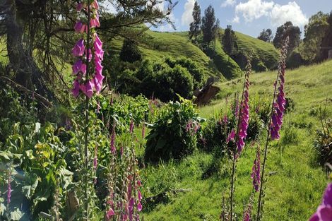 Photo of property in 1237 Waingaro Road, Glen Massey, Ngaruawahia, 3793