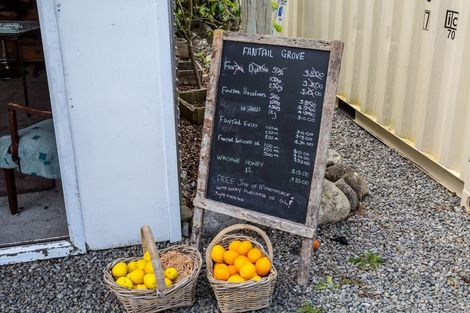 Photo of property in 179 Bidwills Cutting Road, Morison Bush, Greytown, 5794