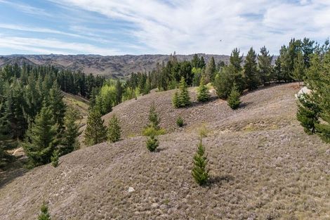 Photo of property in 92a Gilligans Gully Road, Alexandra, 9320