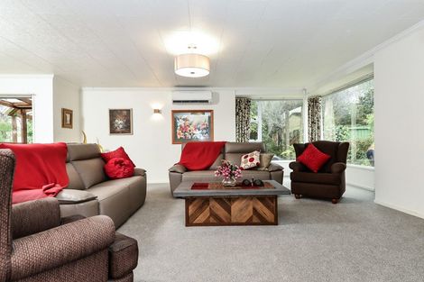 Photo of property in 16 Mcmeekan Avenue, Chartwell, Hamilton, 3210