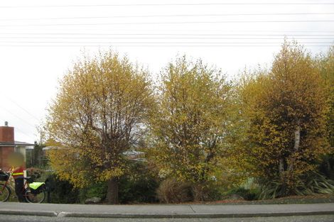 Photo of property in 71 Wilson Road, Balclutha, 9230