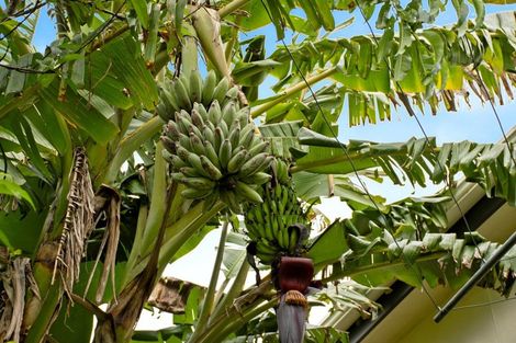 Photo of property in 24 Bellfield Place, Bethlehem, Tauranga, 3110