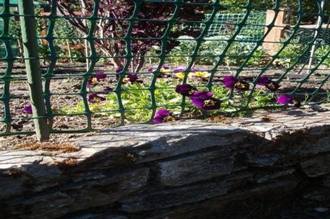 Photo of property in 9 Fastness Crescent, Wanaka, 9305