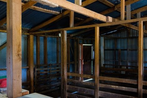 Photo of property in 880 Harington Point Road, Harington Point, Dunedin, 9077