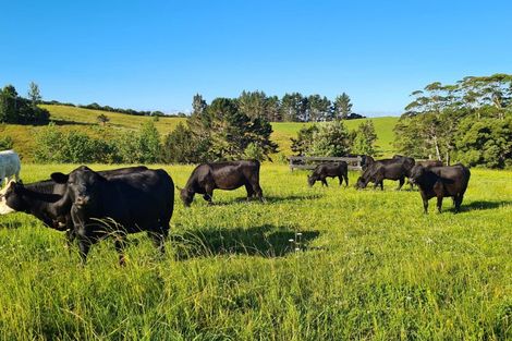 Photo of property in 412e Redcliffs Road, Kerikeri, 0294