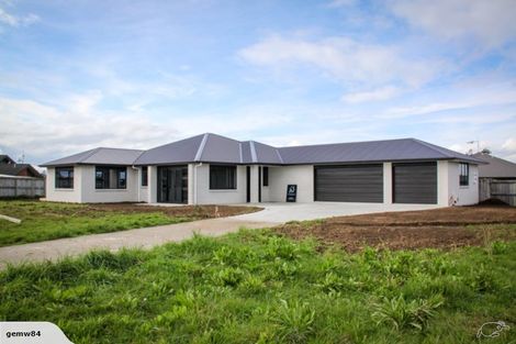 Photo of property in 19 Hoylake Place, Morrinsville, 3300