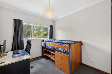 Photo of property in 118 Mcphail Road, Oropi, Tauranga, 3173