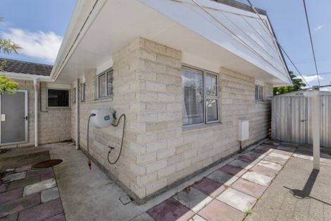 Photo of property in 570 Queen Street East, Levin, 5510