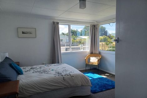 Photo of property in 219 Union Street, Milton, 9220