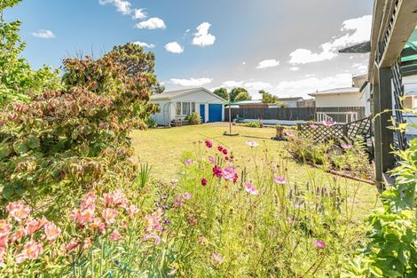 Photo of property in 118 Puriri Street, Gonville, Whanganui, 4501