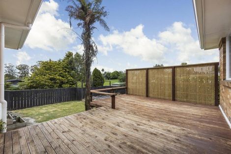 Photo of property in 15 Sholson Street, Putaruru, 3411