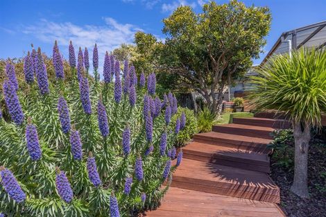 Photo of property in 6 Okoromai Views, Gulf Harbour, Whangaparaoa, 0930