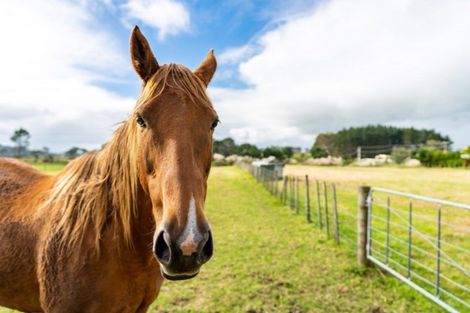 Photo of property in 20a Scottys Camp Road, Parore, Dargaville, 0373