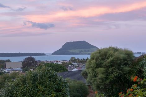 Photo of property in 24b Western Road, Otumoetai, Tauranga, 3110