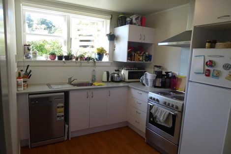 Photo of property in 51 Norway Street, Aro Valley, Wellington, 6012