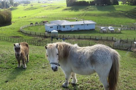 Photo of property in 60b Newell Road, Tokoroa, 3491