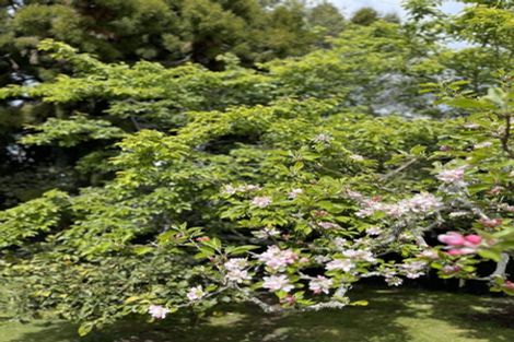 Photo of property in 9 Burn Road, Lynmore, Rotorua, 3010