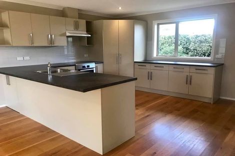 Photo of property in 22 Larne Place, Belfast, Christchurch, 8051