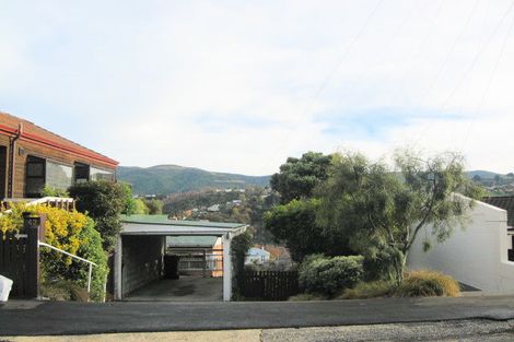 Photo of property in 43 Signal Hill Road, Opoho, Dunedin, 9010