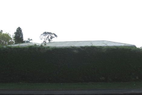 Photo of property in 29 Pinedale Place, Henderson, Auckland, 0610