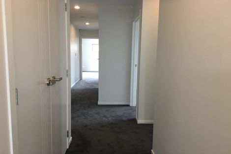 Photo of property in 29 Ladeira Place, Fitzroy, Hamilton, 3206