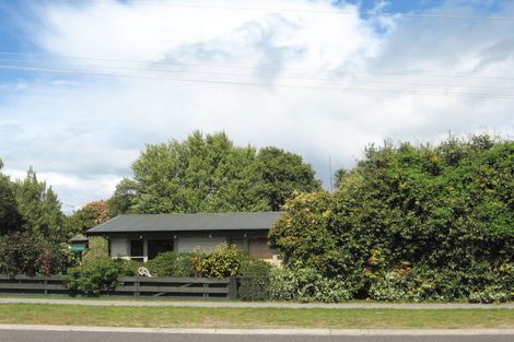 Photo of property in 81 Scannell Street, Taupo, 3330
