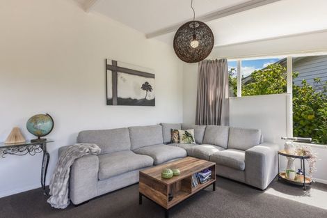 Photo of property in 25 Surrey Road, Richmond, 7020