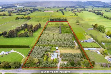 Photo of property in 179 Bidwills Cutting Road, Morison Bush, Greytown, 5794