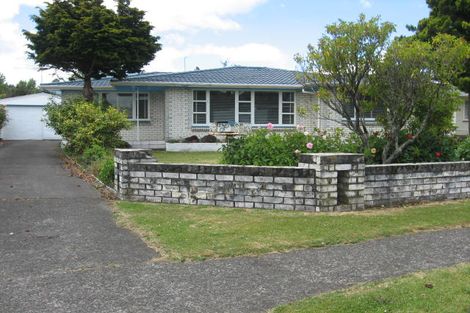 Photo of property in 29 Pitt Street, Raetihi, 4632