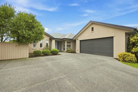Photo of property in 87 Kaniere Avenue, Hei Hei, Christchurch, 8042