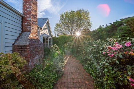 Photo of property in 1/15 Terrace Road, 7481