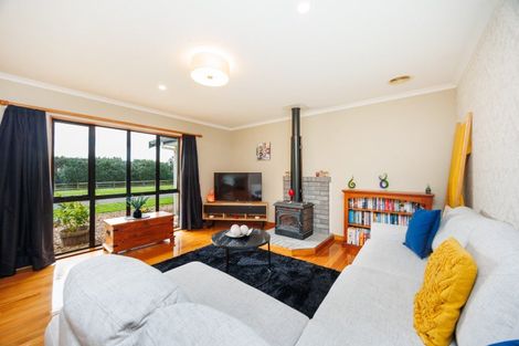 Photo of property in 294 Polson Hill Drive, Aokautere, Palmerston North, 4471