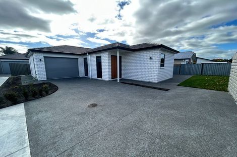 Photo of property in 71 Auckland Road, Greenmeadows, Napier, 4112