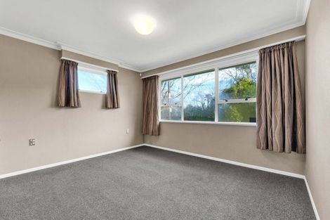 Photo of property in 86 Brecon Road, Stratford, 4332