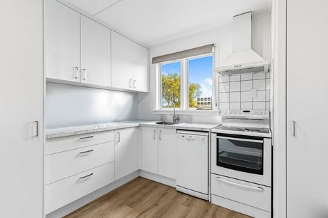 Photo of property in 8 Keiss Street, Blenheim, 7201