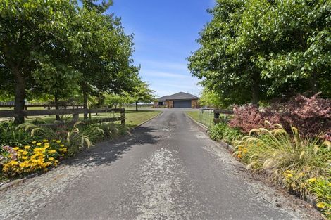 Photo of property in 580 Taonui Road, Colyton, Feilding, 4775
