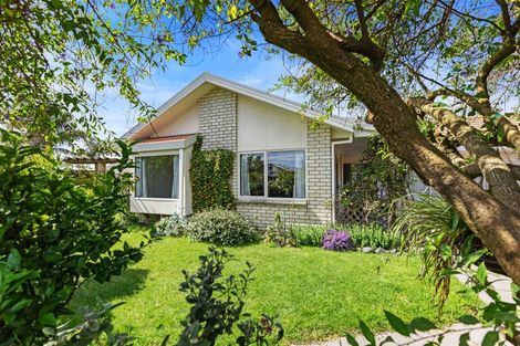 Photo of property in 4 Liftan Place, Mount Maunganui, 3116