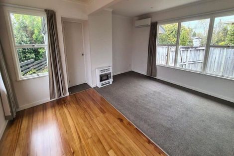 Photo of property in 21 Donny Avenue, Chartwell, Hamilton, 3210